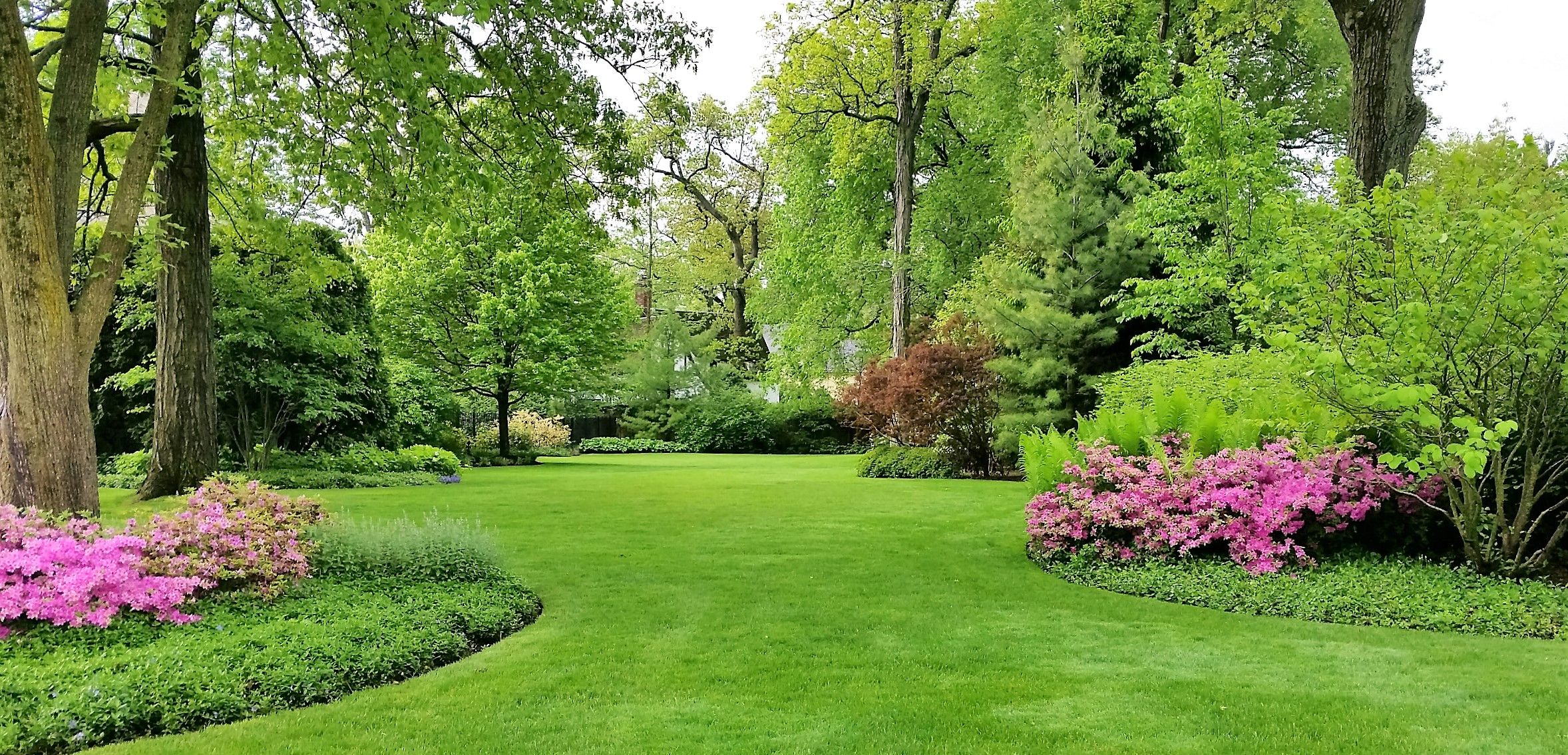 a beautirul landscaped lawn